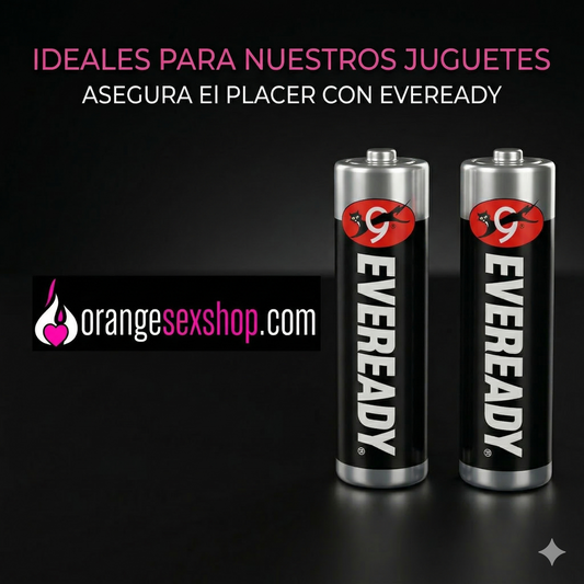 Pilas Baterias Eveready AA x2 DOBLE A