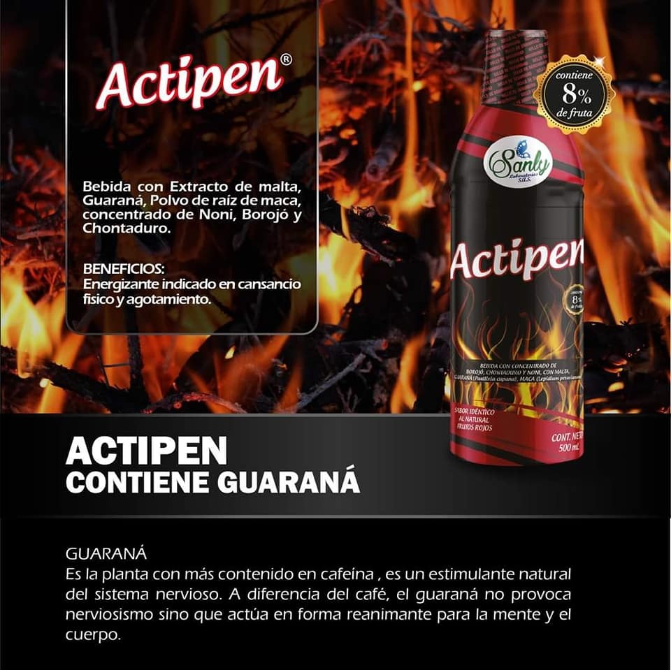 Actipen 500ml Bebida Energizante